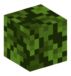 Minecraft head — Plants