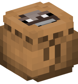 Minecraft head — Decor