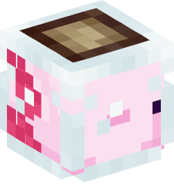 Minecraft head — Decor