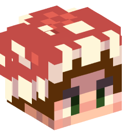 Minecraft head — People