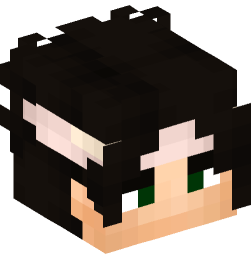 Minecraft head — People