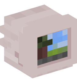 Minecraft head — Decor