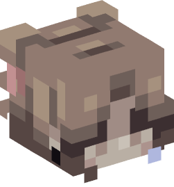 Minecraft head — People