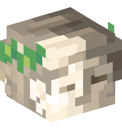 Minecraft head — Decor