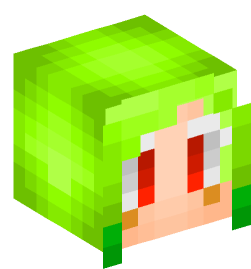 Minecraft head — People