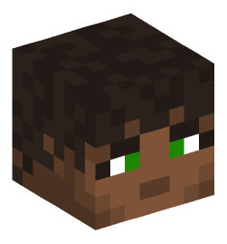 Minecraft head — People