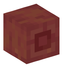 Minecraft head — Blocks