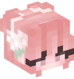 Minecraft head — People