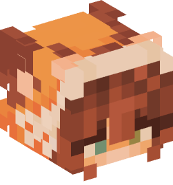 Minecraft head — People