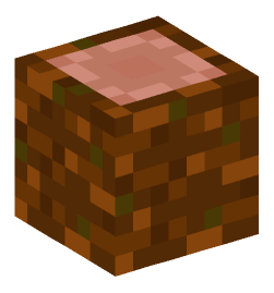 Minecraft head — Blocks