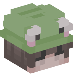 Minecraft head — People