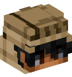 Minecraft head — People