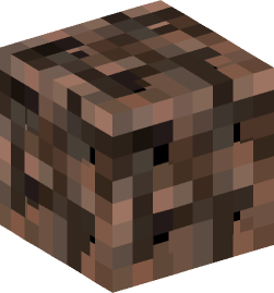 Minecraft head — Blocks