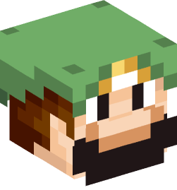 Minecraft head — People