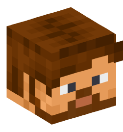 Minecraft head — People