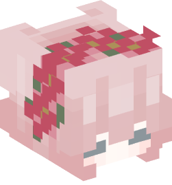 Minecraft head — People