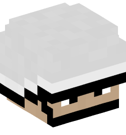 Minecraft head — People