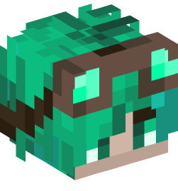 Minecraft head — People