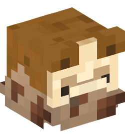 Minecraft head — Decor