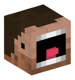 Minecraft head — People