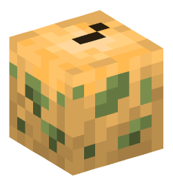 Minecraft head — Miscellaneous