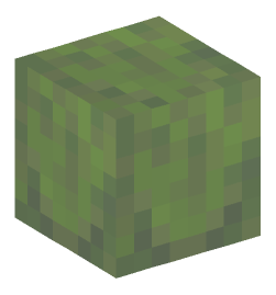 Minecraft head — Blocks