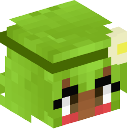 Minecraft head — People