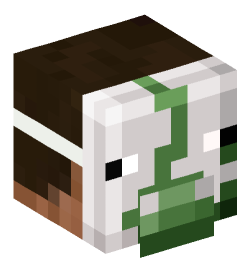 Minecraft head — People