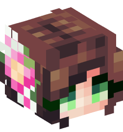 Minecraft head — People