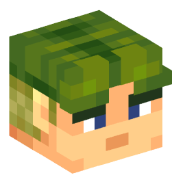 Minecraft head — People