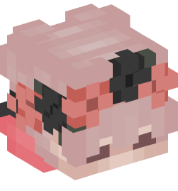 Minecraft head — People