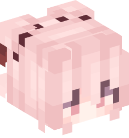 Minecraft head — People