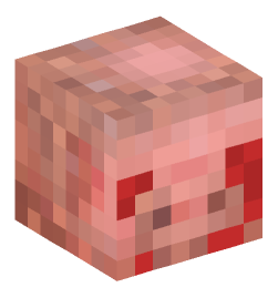 Minecraft head — Animals