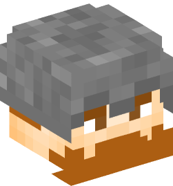 Minecraft head — People