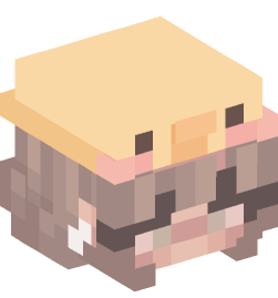 Minecraft head — People