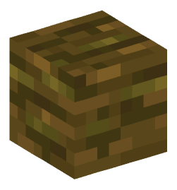 Minecraft head — Blocks