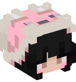 Minecraft head — People