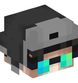 Minecraft head — People