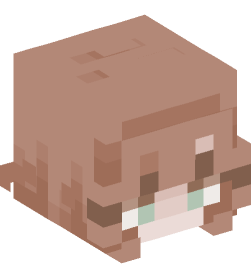 Minecraft head — People