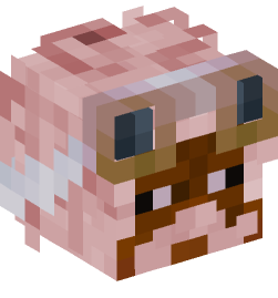 Minecraft head — People