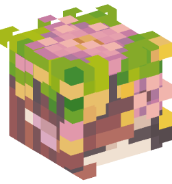 Minecraft head — People