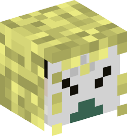 Minecraft head — People