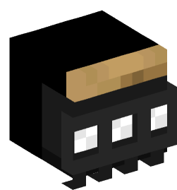 Minecraft head — Decor