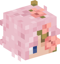 Minecraft head — People