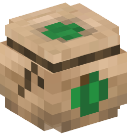 Minecraft head — Decor