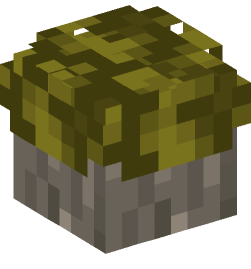 Minecraft head — Plants