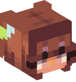 Minecraft head — People