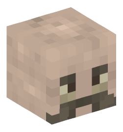 Minecraft head — People