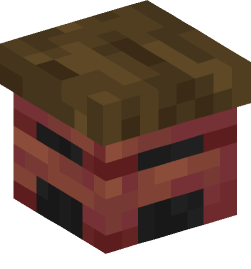 Minecraft head — Decor