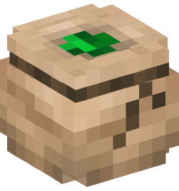 Minecraft head — Decor